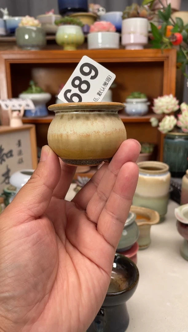 瓷片小*?689知木花盆小芳
