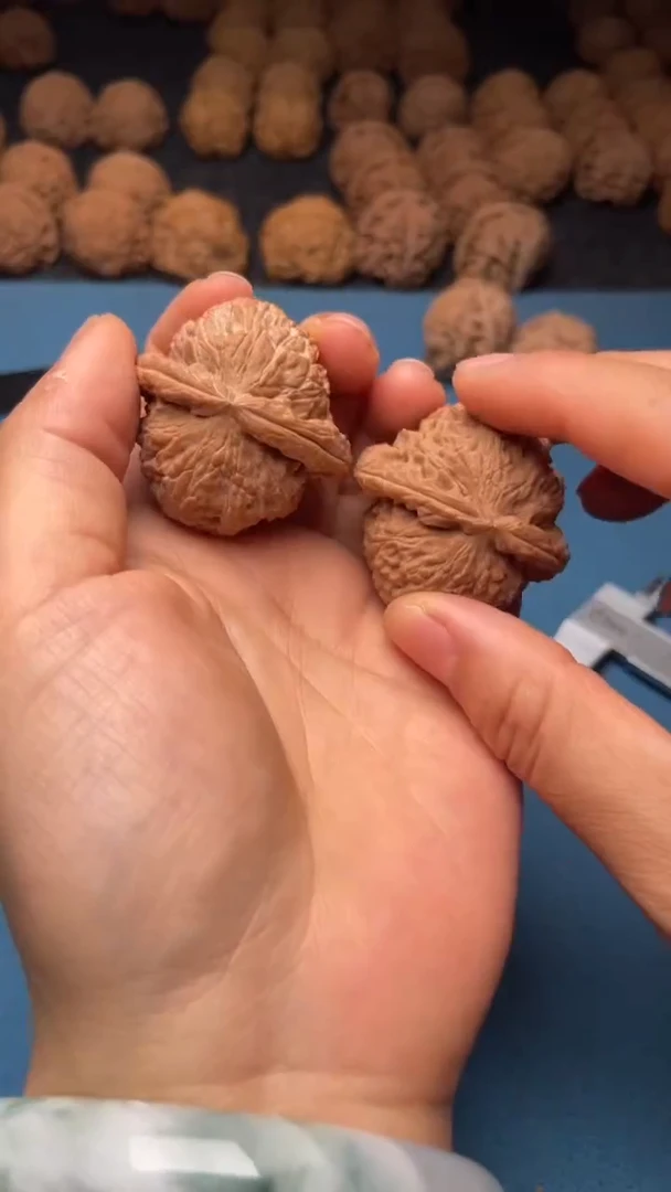 桃核把件w103  白狮子 40尺