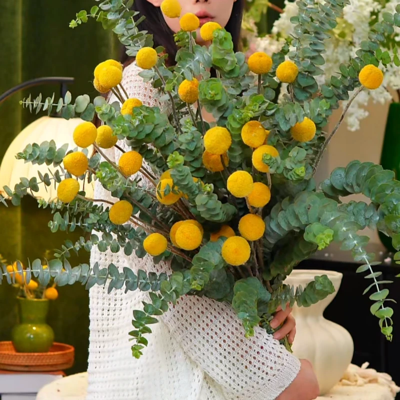 【金枝玉叶1】黄金球花束长花期鲜花高颜值氛围花材永生花夏季驱蚊