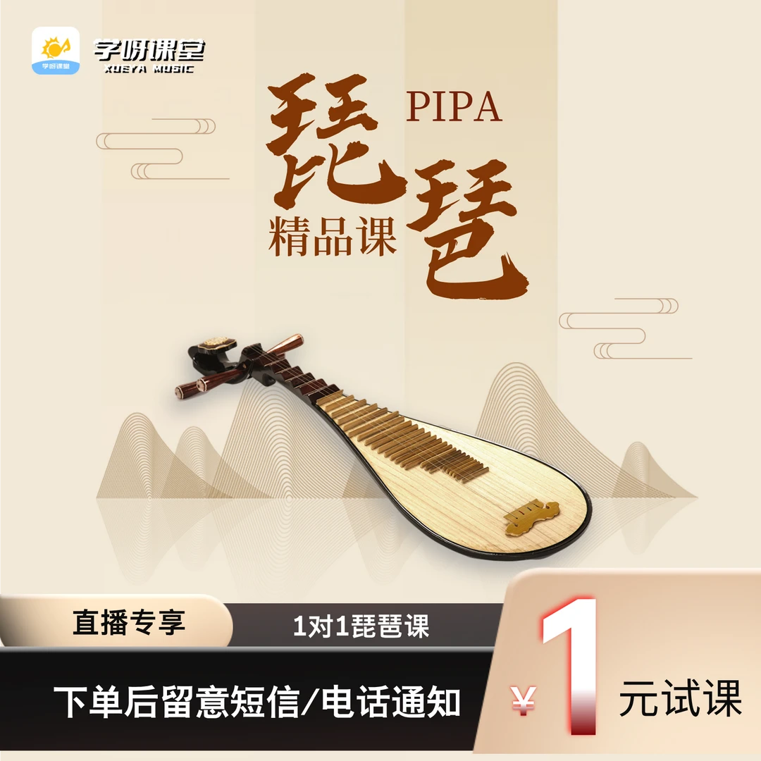 【1对1琵琶课】全国通用 直播专享琵琶一对一线上课