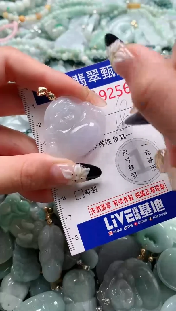 翡翠未镶嵌颈饰9256