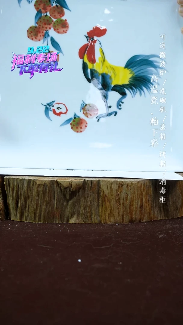 其他高温瓷福利场（大方片）033