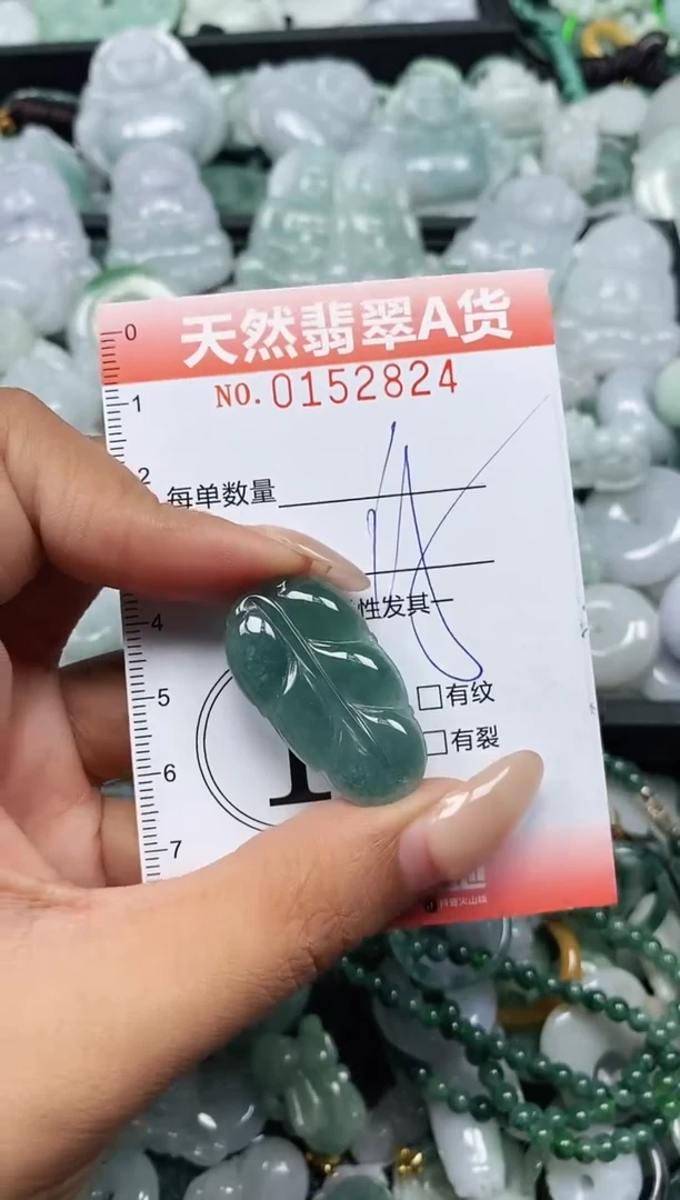翡翠未镶嵌颈饰闪购0152824