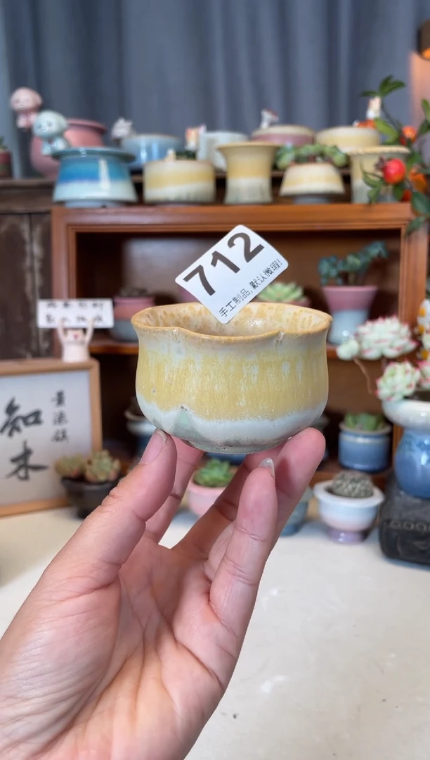 瓷片712微瑕知木小芳花盆