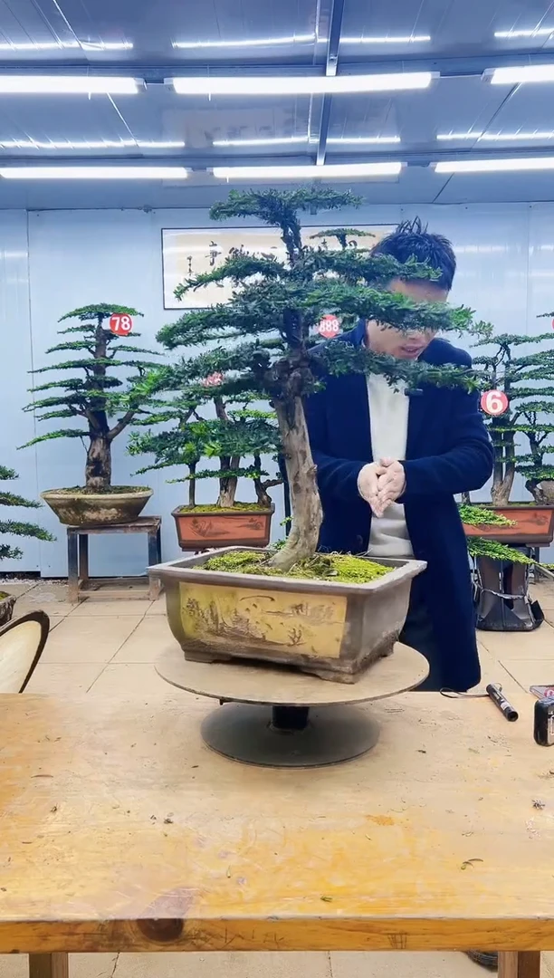 00000000000000000000