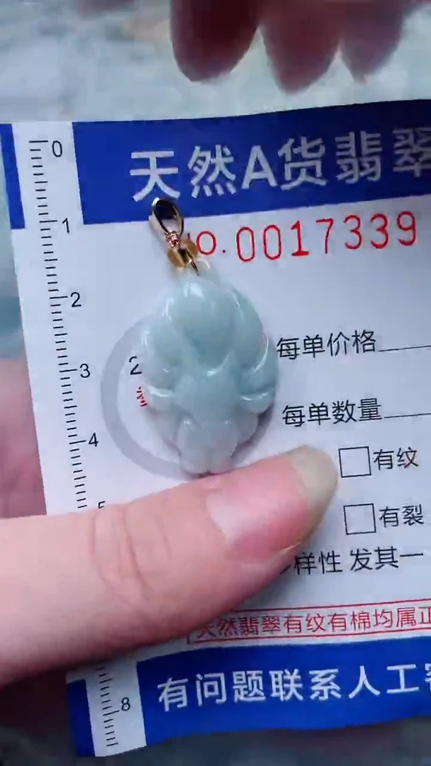 翡翠未镶嵌吊坠(不含链)1