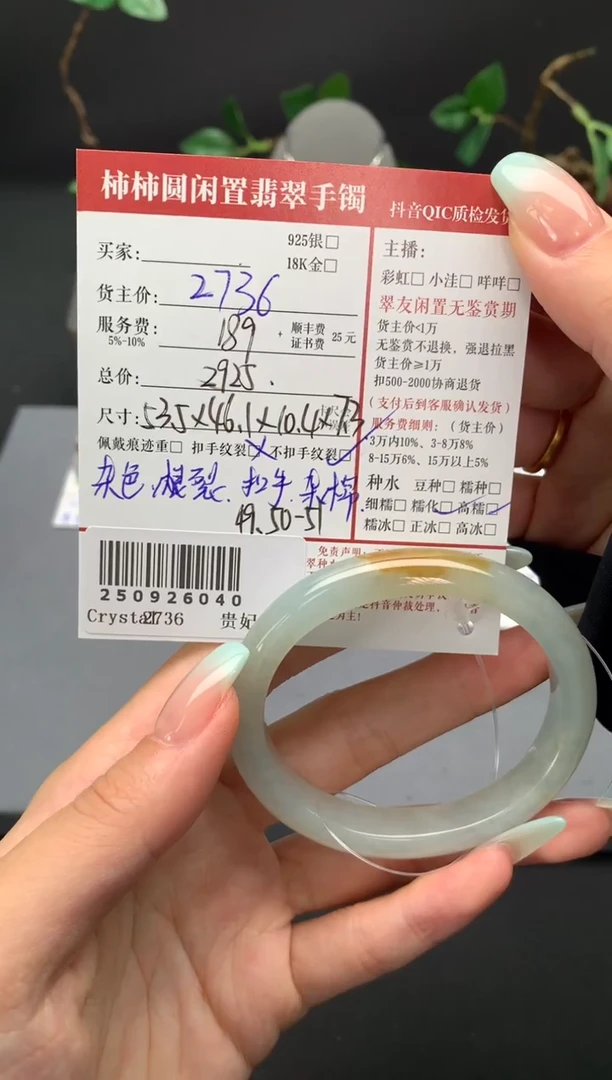 未镶嵌手镯翡翠姐姐250926040