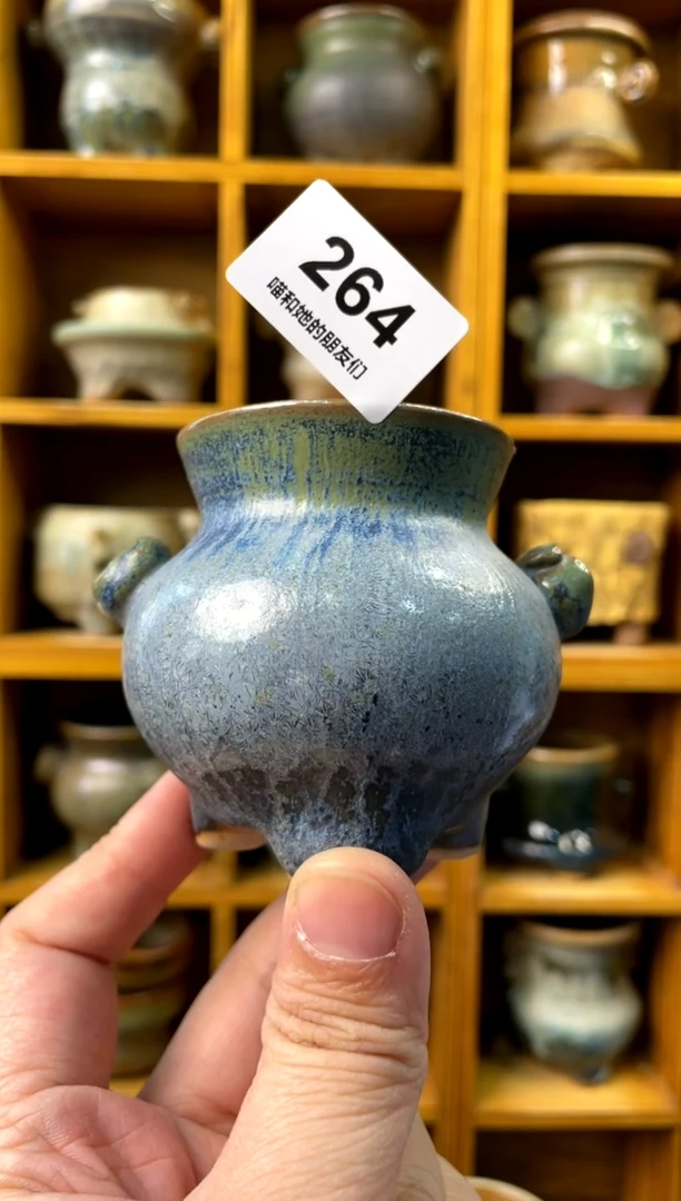 264【多肉花盆多肉盆】