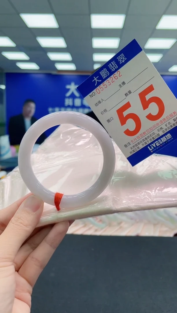 未镶嵌手镯翡翠AAAAAAAAA