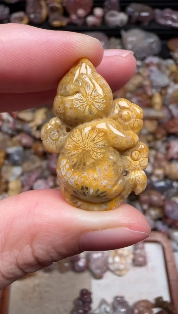 颈饰未镶嵌硅化珊瑚（珊瑚玉）367