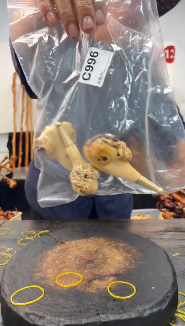 黑果木其他黑果木644