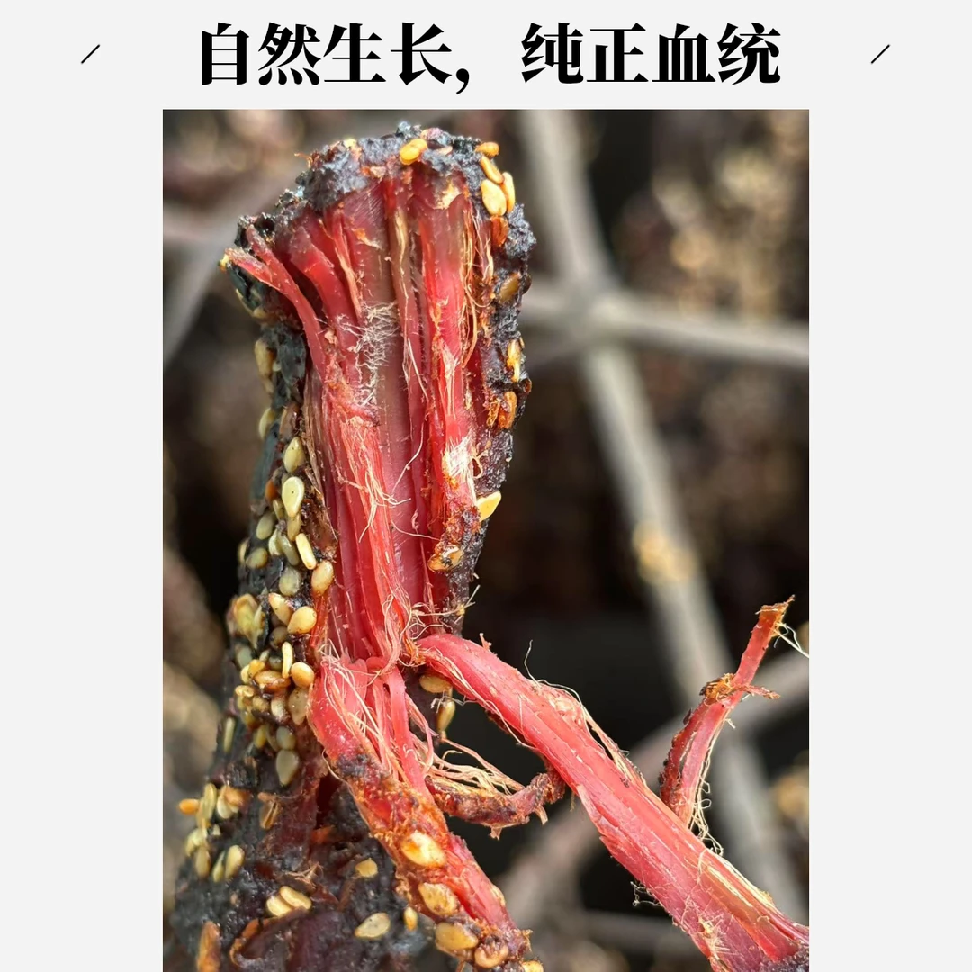 黄牛肉炭烤牛干巴开袋即食