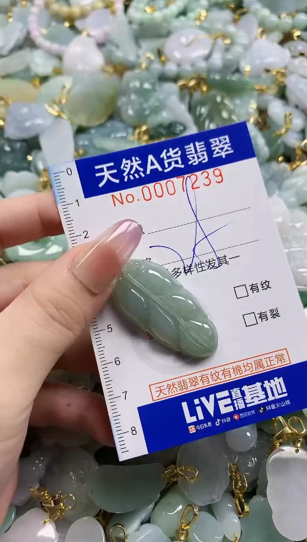 颈饰未镶嵌翡翠天然A货翡翠