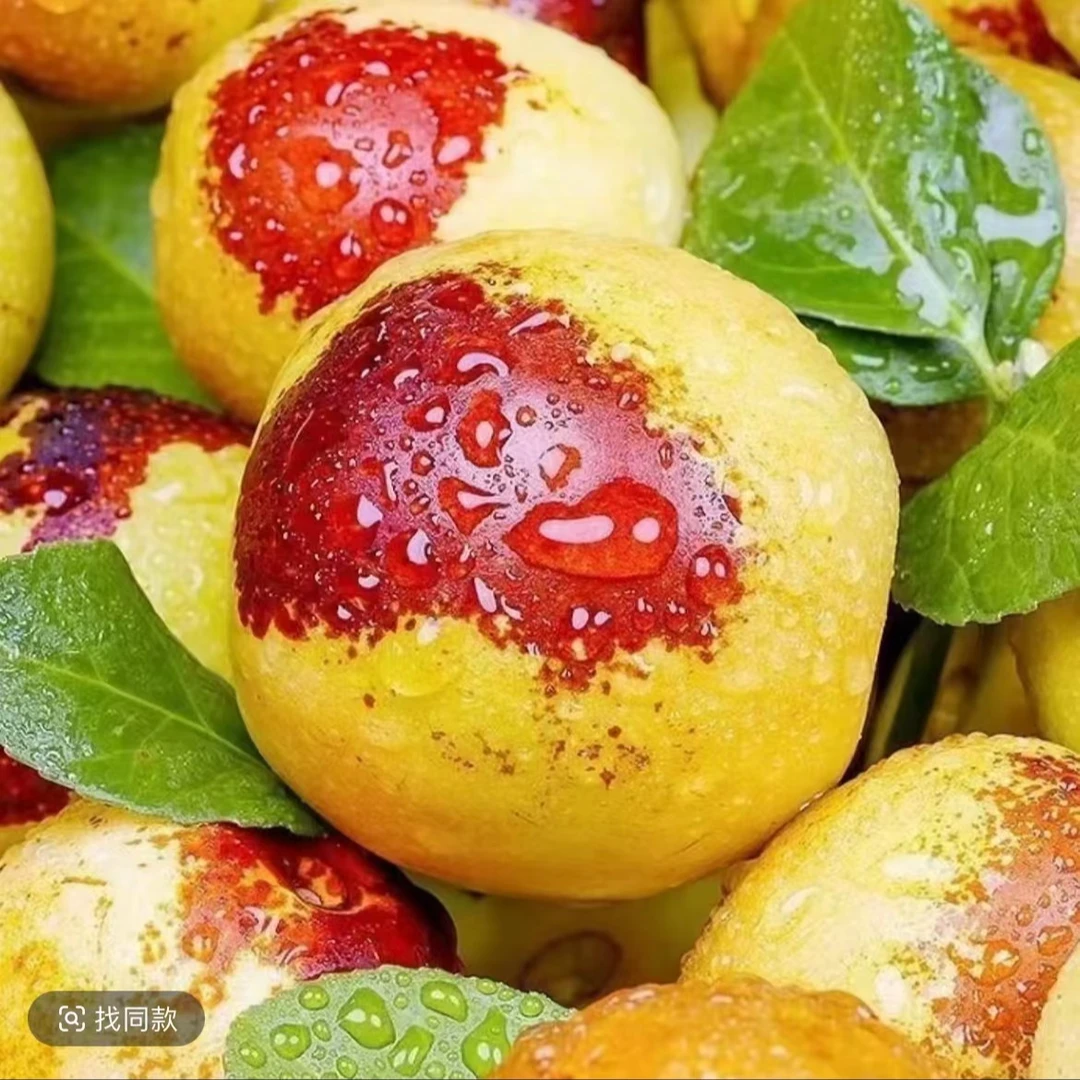 正宗产地新鲜现摘冬枣脆甜可口应季水果x