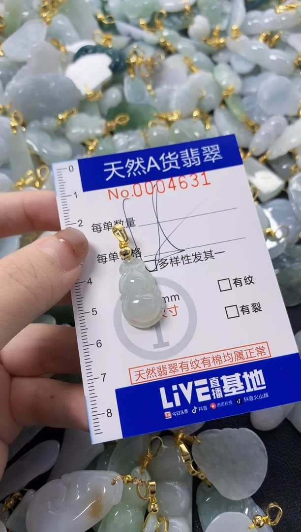 颈饰未镶嵌翡翠天然A货翡翠