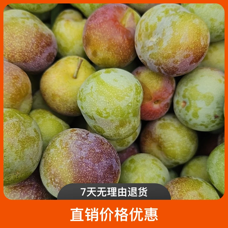 安康双龙脱骨脆红李新鲜现摘脆甜多汁当季水果