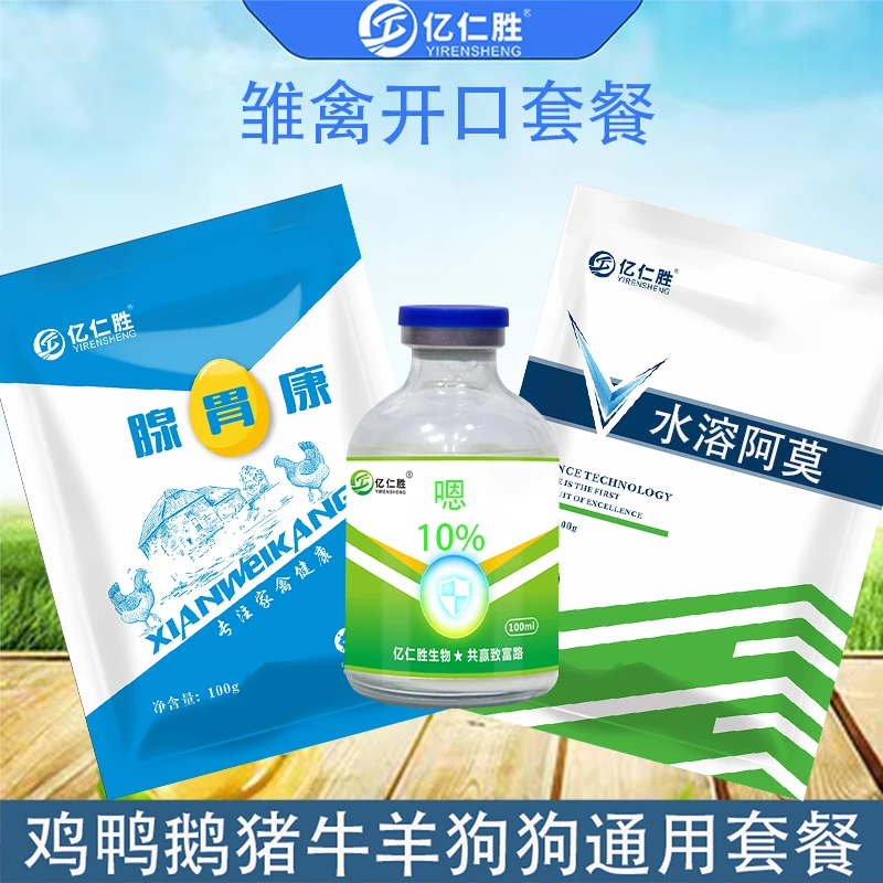 温立康鸡鸭鹅鸽子家禽常见问题感冒流鼻涕鸡瘟呆立瞌睡精神沉郁
