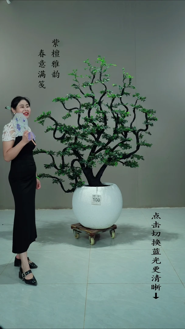 完全开放酒***车100号链接