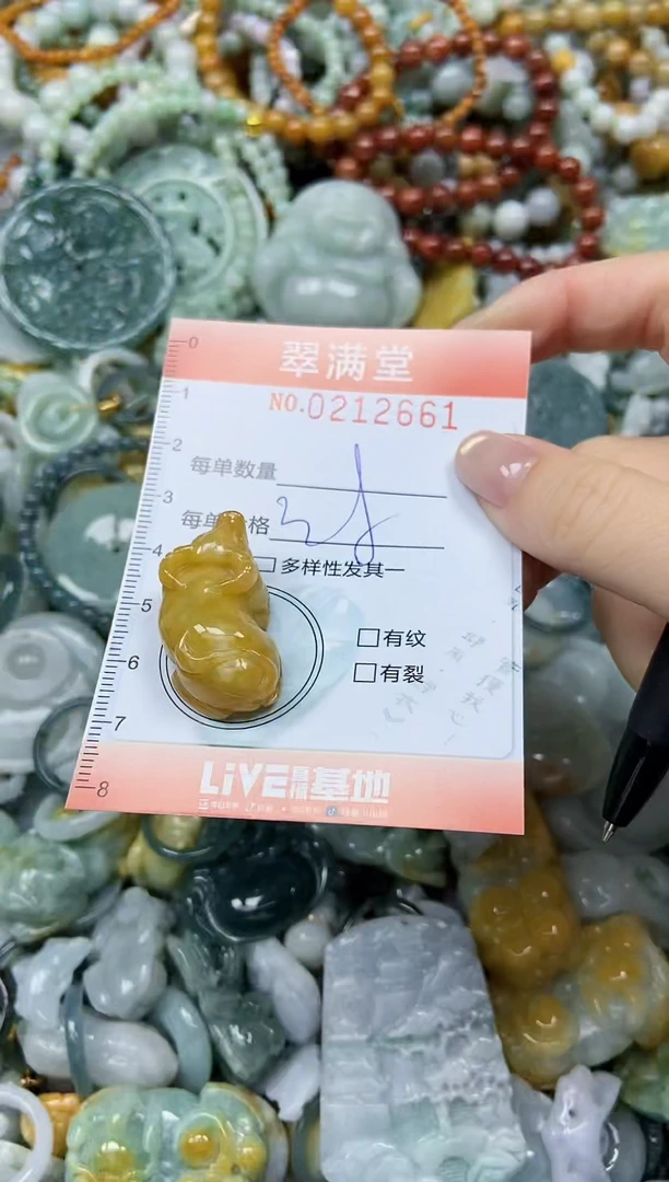 颈饰未镶嵌翡翠闪购0212661