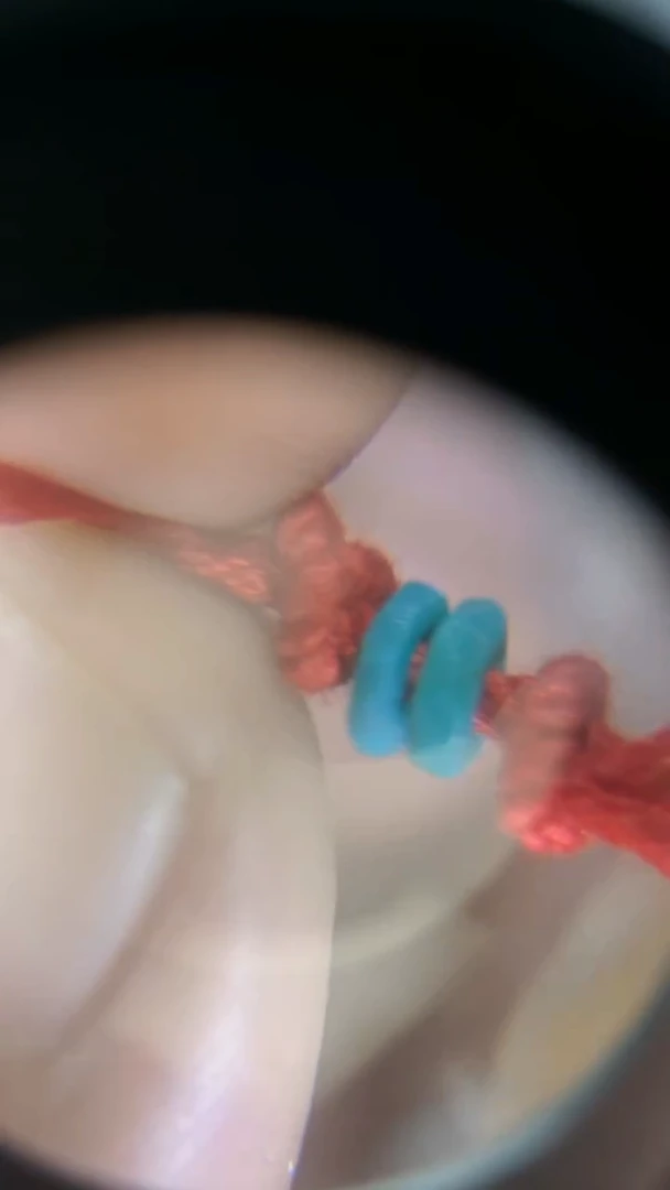 绿松石未镶嵌颈饰19zc绿松石一对儿