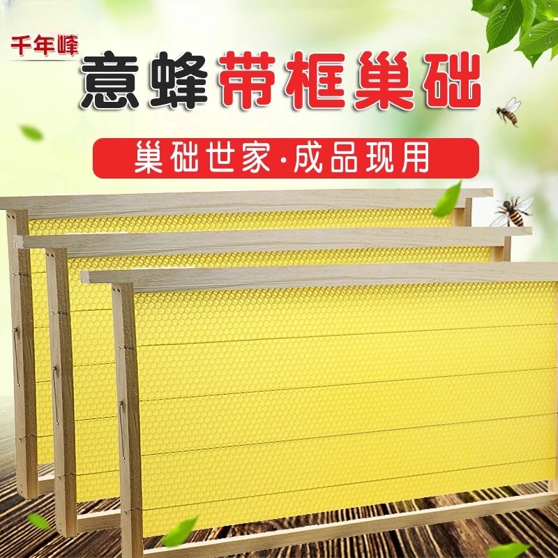 意蜂巢础 巢框意蜂成品巢础带框杉木巢框巢脾批发10个装蜜蜂巢础
