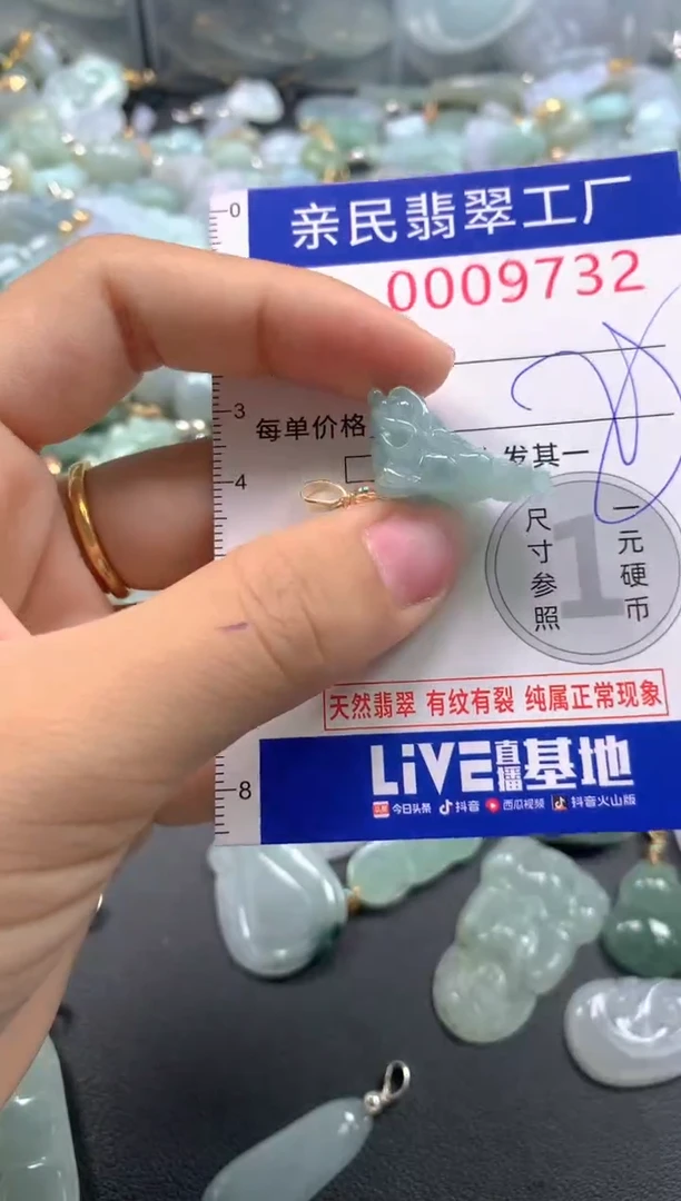 颈饰未镶嵌翡翠9732