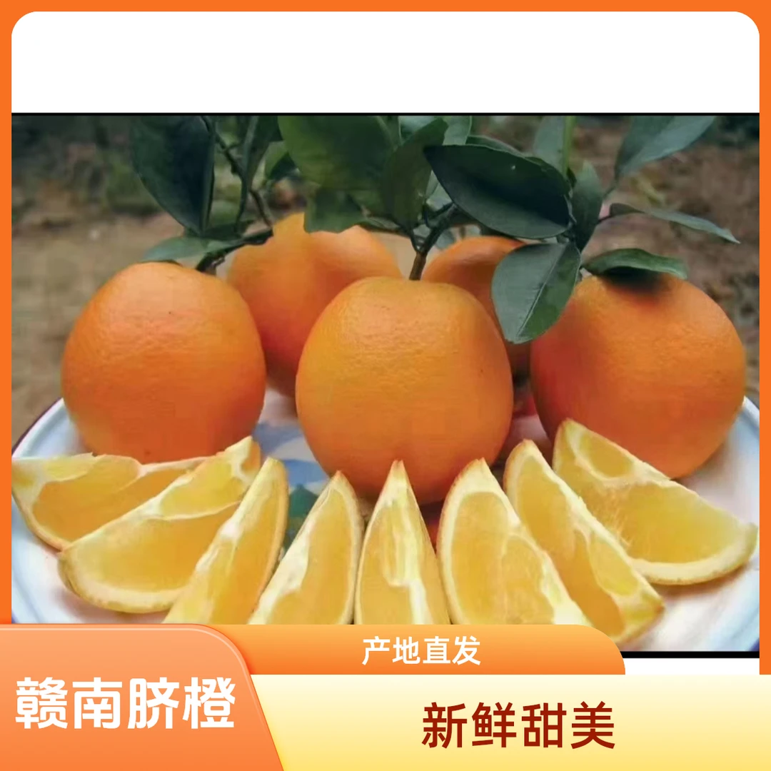 江西赣南脐橙新鲜当季水果甜橙孕妇适用产地直发