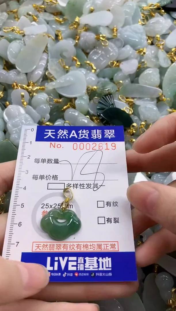 颈饰未镶嵌翡翠天然A货翡翠