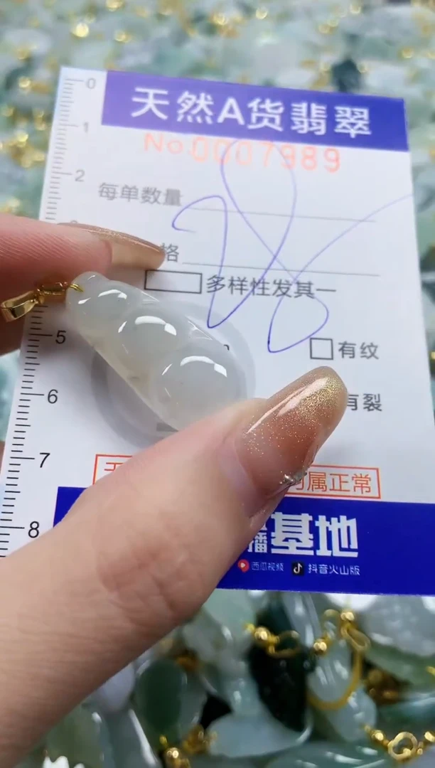 颈饰未镶嵌翡翠天然A货翡翠