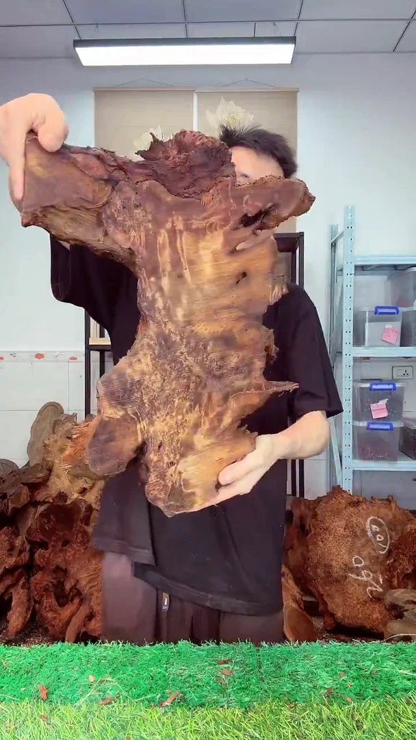 香杉木香杉老料566