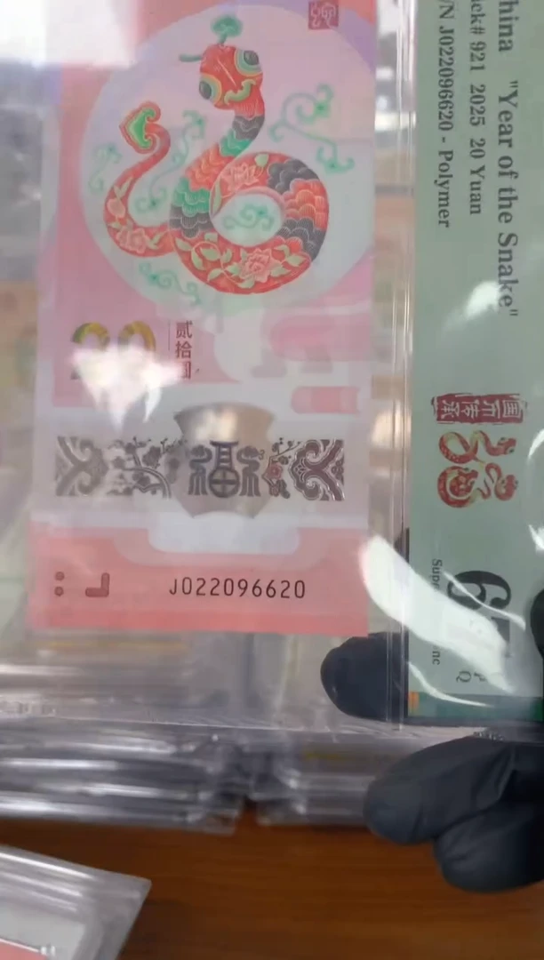 塑料2025蛇钞 真钞 评级封装
