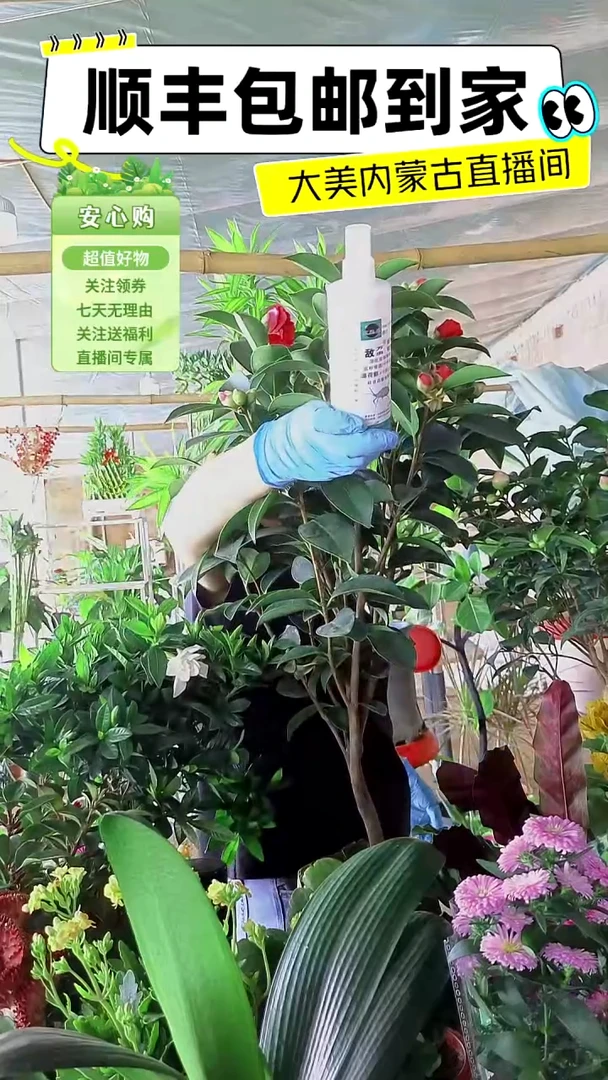 完全开放大瓶驱虫药