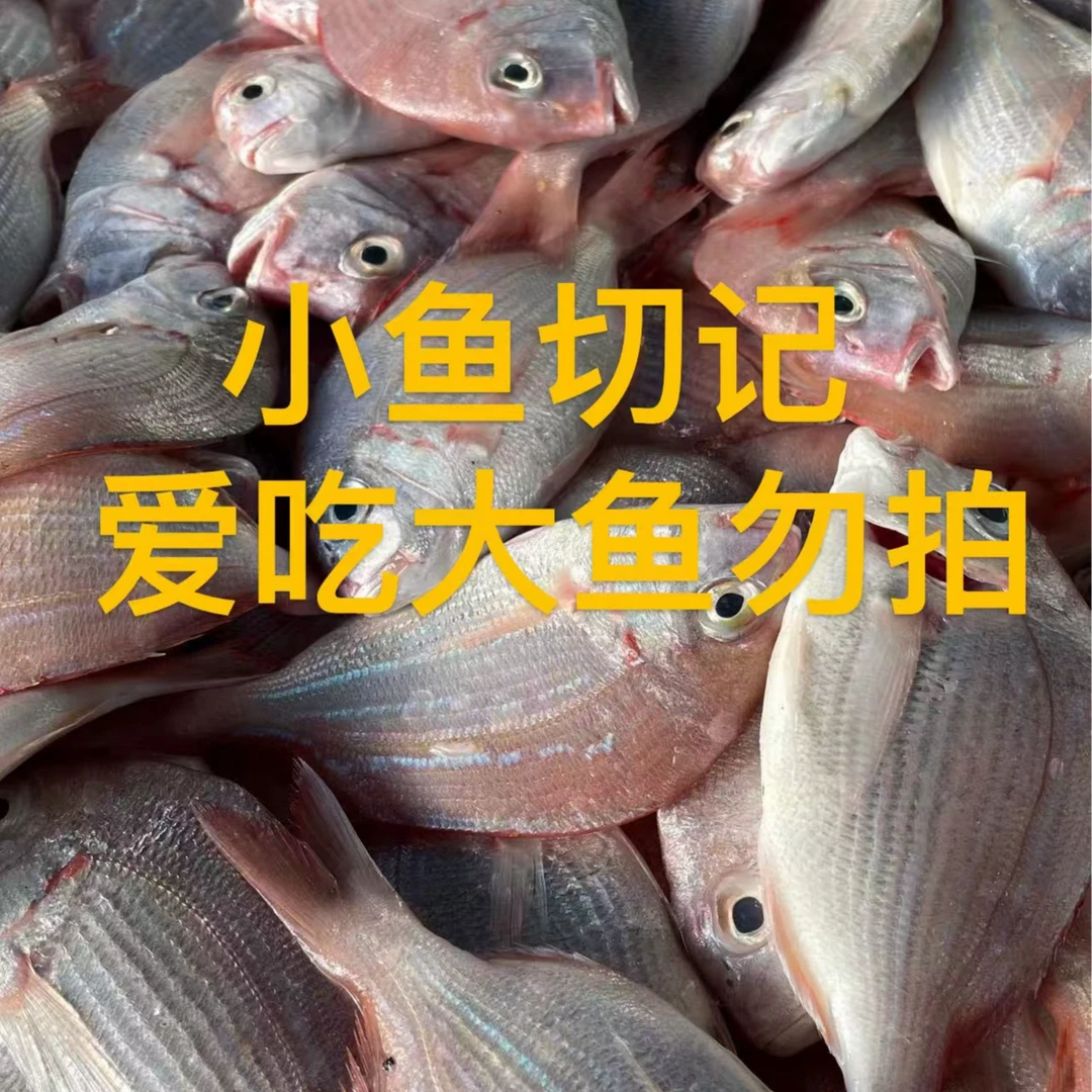 【红腊鱼】现场规格为准 不支持退货