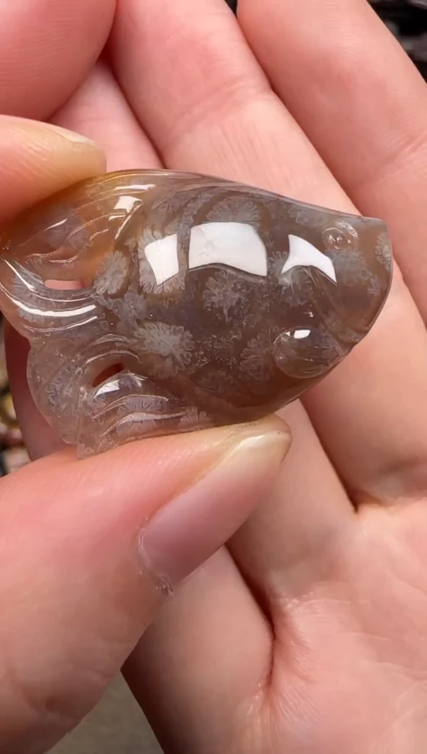 硅化珊瑚（珊瑚玉）未镶嵌颈饰630