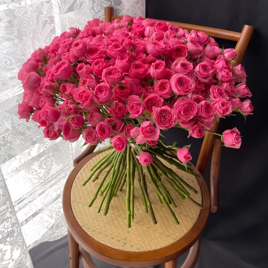 【苏菲宝贝】云南鲜花基地直发多头玫瑰玫瑰花