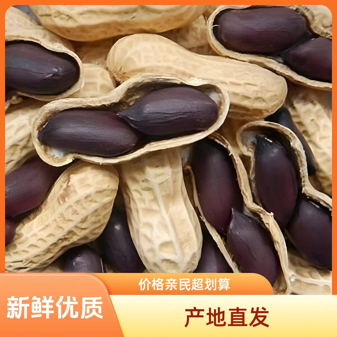 【推荐】5斤装黑花生新鲜黑花生 涿州林家屯农村现采现发