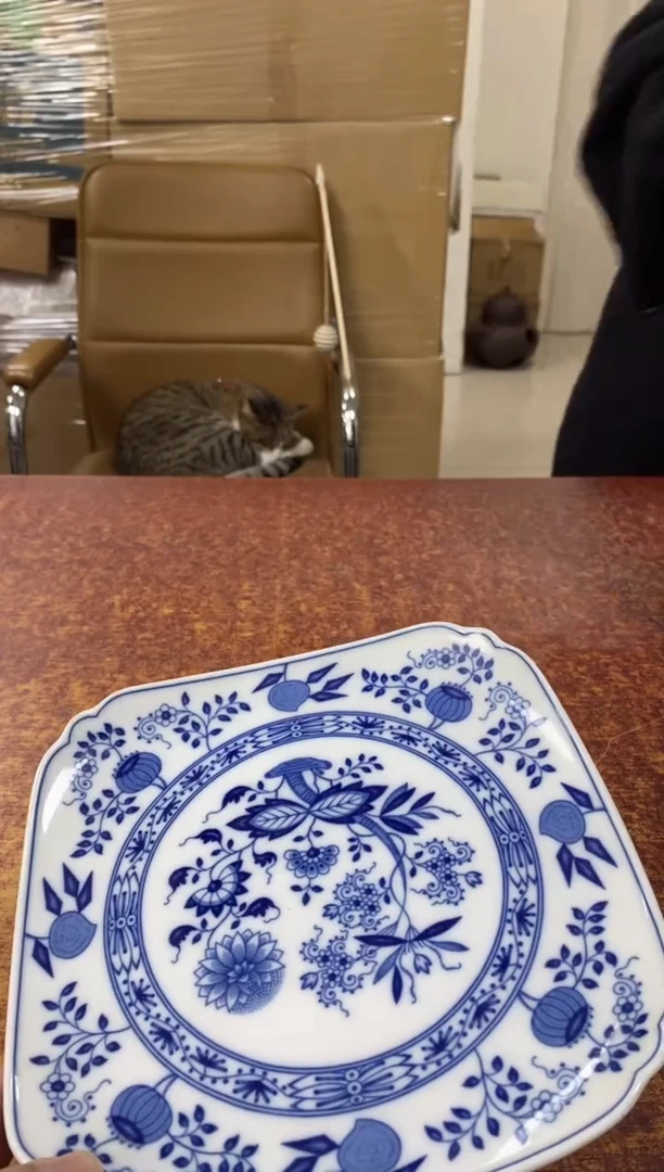 瓷片362小林轩欢迎您