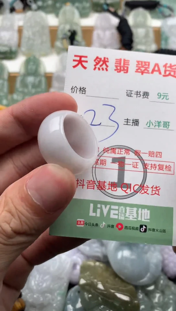 翡翠未镶嵌吊坠(不含链)1