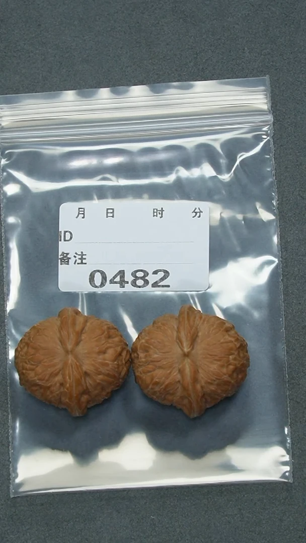 【闪购商品】文玩核桃把件37元宝