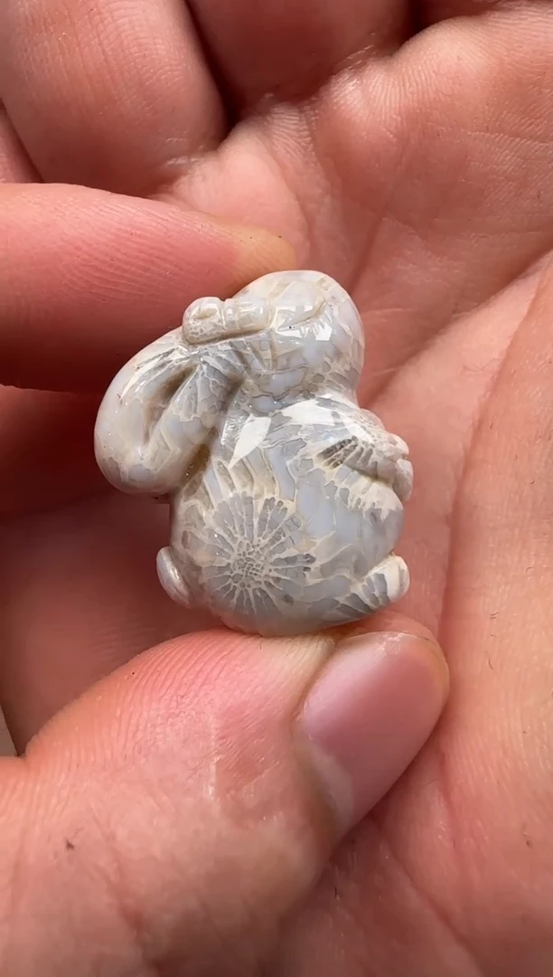 【闪购商品】硅化珊瑚（珊瑚玉）颈饰未镶嵌591