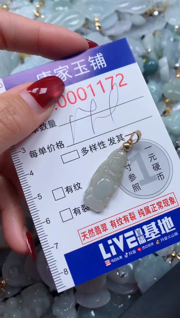 颈饰未镶嵌翡翠1172