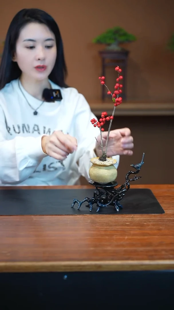 全部花朵小冬青盆景盆景盆景