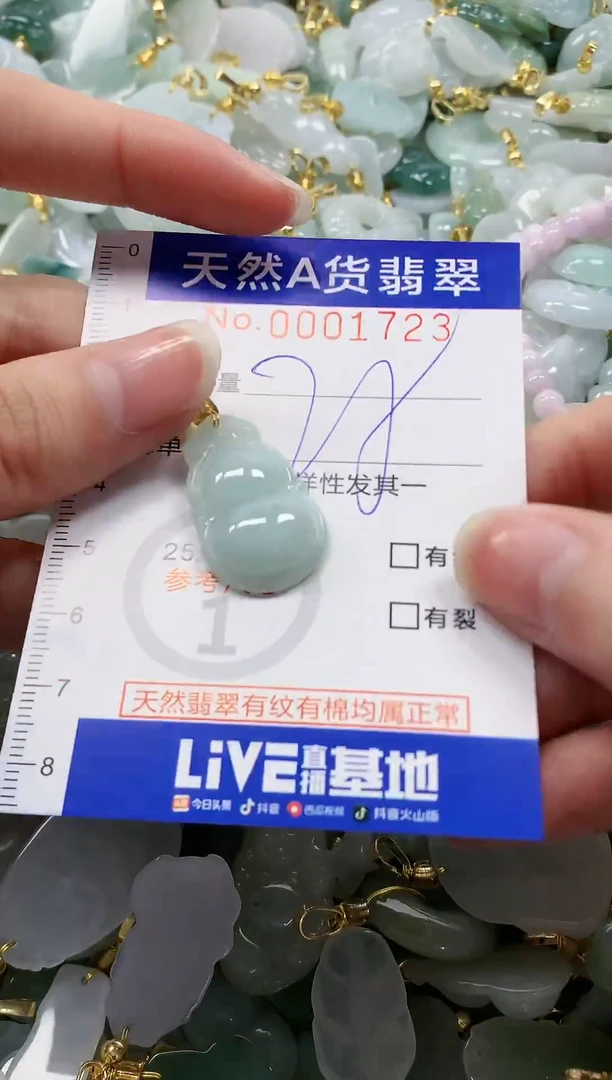 颈饰未镶嵌翡翠纯天然a货翡翠