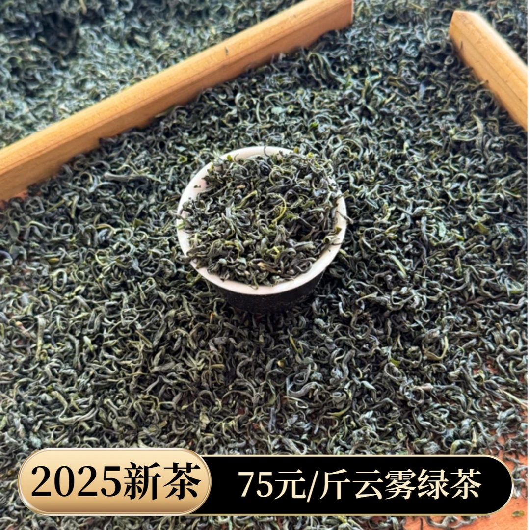 2025新茶云雾绿茶绿茶炒青高山茶叶耐泡浓香型春茶口感醇厚口粮茶