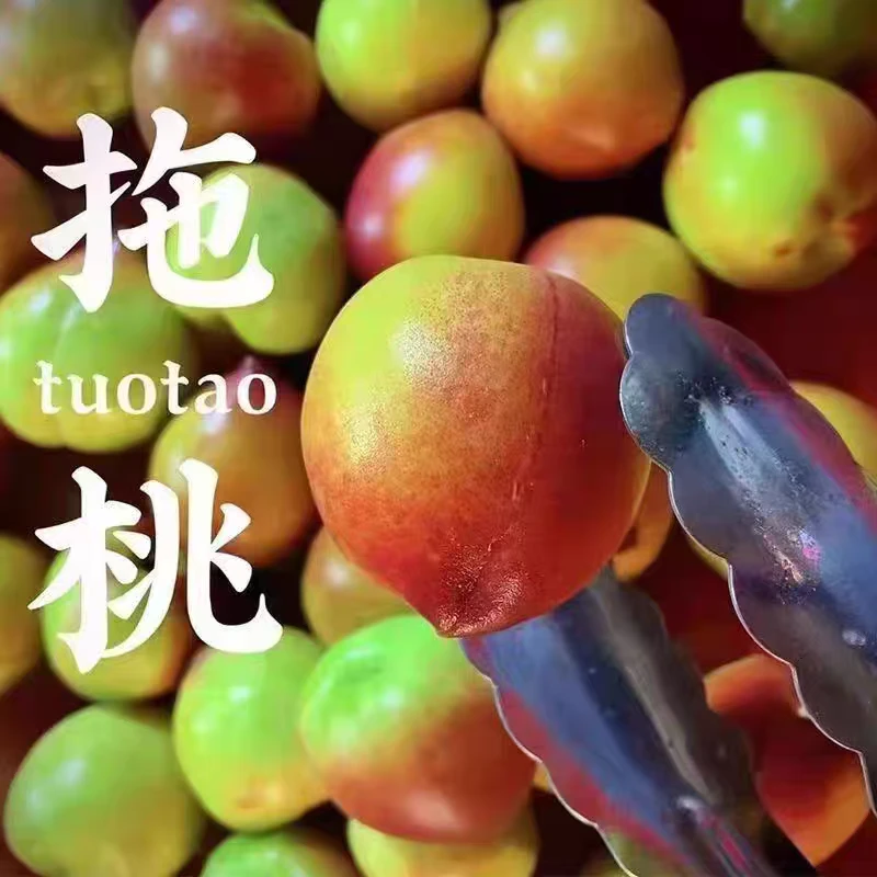 新鲜现摘当季小毛桃脆桃子2.5斤/4.5斤酸甜毛桃产地直发送酸梅粒毛桃