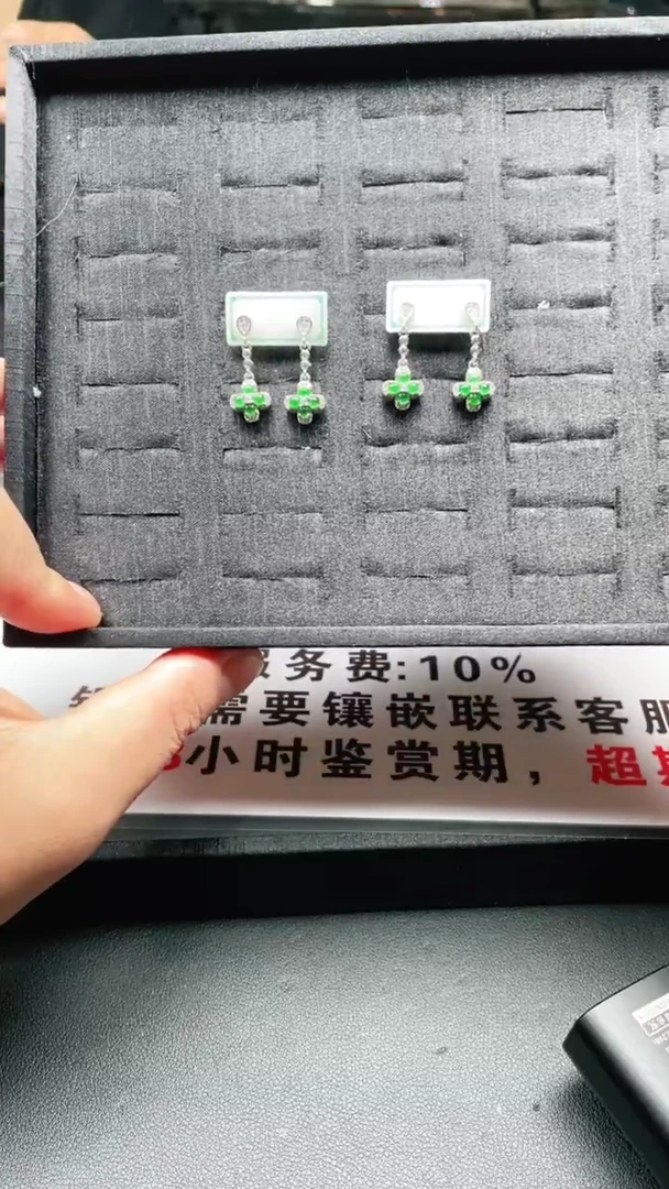 未镶嵌翡翠耳饰1个