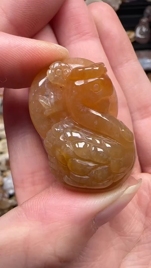 颈饰未镶嵌硅化珊瑚（珊瑚玉）238