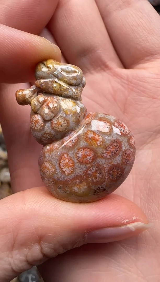 【闪购商品】硅化珊瑚（珊瑚玉）颈饰未镶嵌234