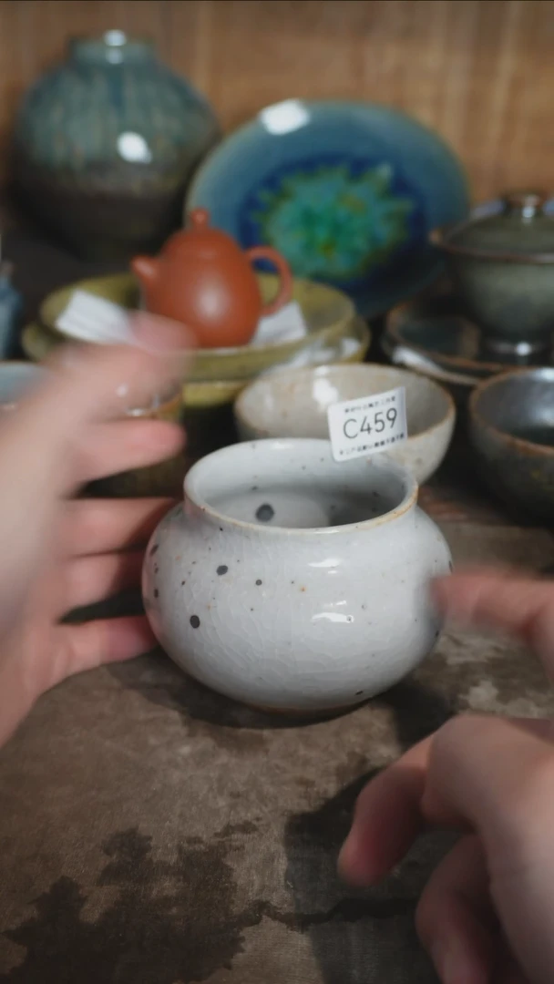 【闪购商品】C459号拍品，一物一拍