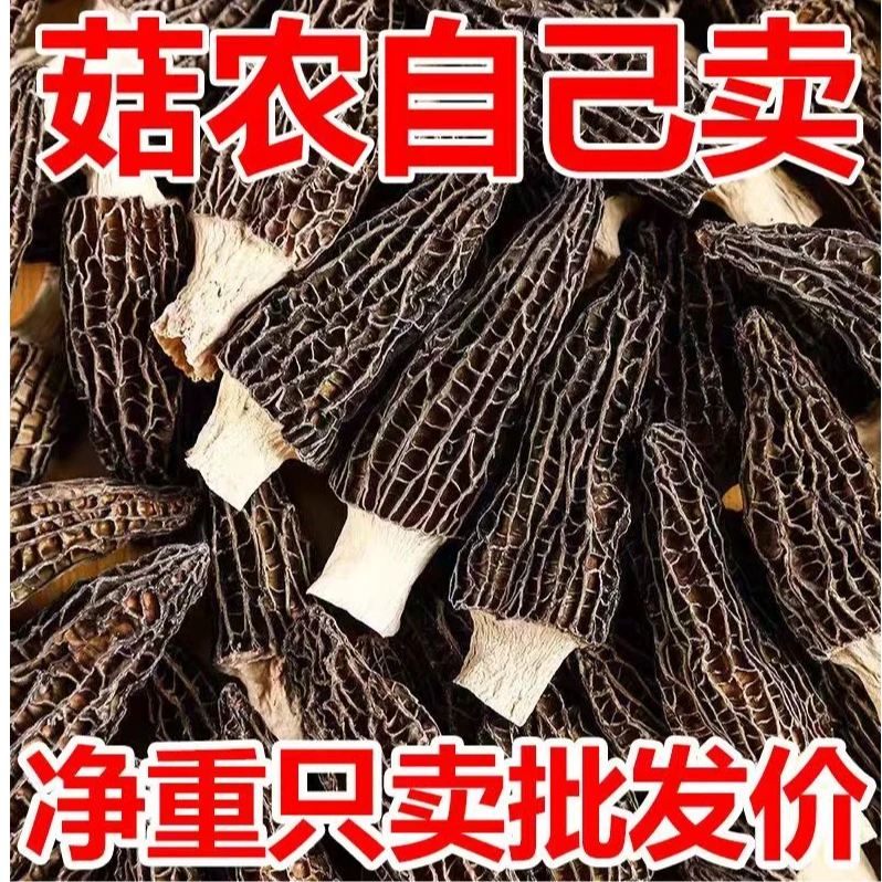 高山大个羊肚菌干货肉质肥厚是煲汤佳品